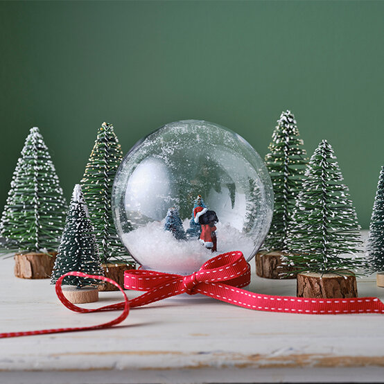 dog-snowglobe.jpg?sw=554&q=85