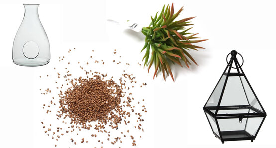 terrarium.jpg?sw=554&q=85