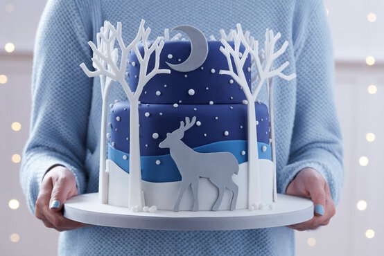 0464_xmas_2016_hc_025-1024x683.jpg?sw=554&q=85