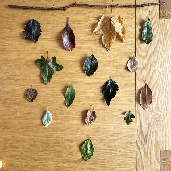 Idea_how-to-make-an-autumn-leaf-hanging_step1.JPG?sw=554&q=85