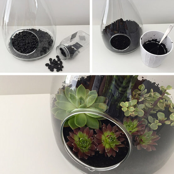 terrarium2.jpg?sw=554&q=85