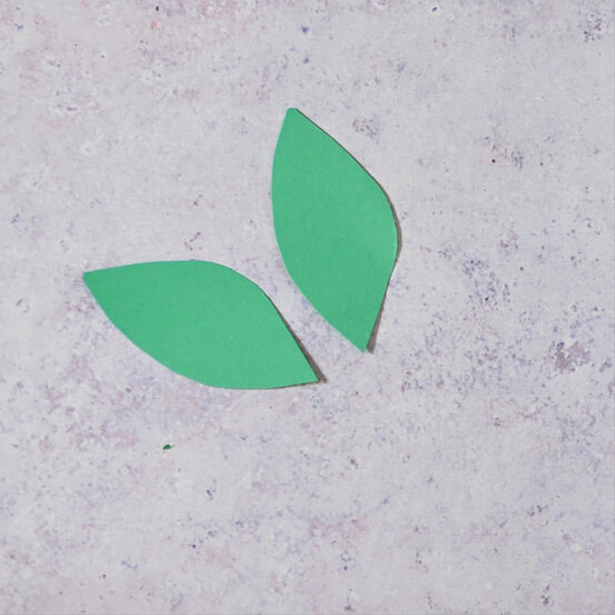 how-to-make-a-pom-pom-thistle-step2-1.jpg?sw=554&q=85