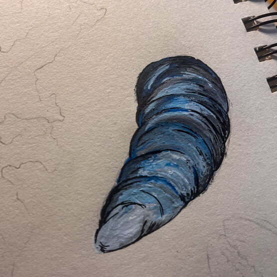 idea%5Fhow%2Dto%2Dillustrate%2Dwith%2Dpaint%2Dmarkers%2Dmussel%5Fstep5.jpg?sw=554&q=85