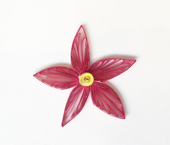 ls21.jpg?sw=554&q=85