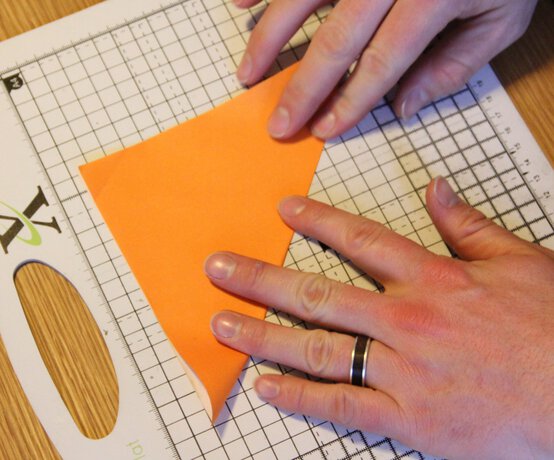 img_8496_edit.jpg?sw=554&q=85