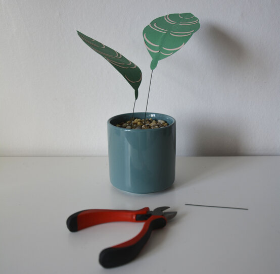 cricut_how_to_make_a_paper_calathea_ornata_plant_step16_2.jpg?sw=554&q=85