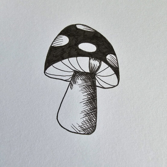 idea%5Fmushroom%2Dfineliner%2Dillustrations%2Dtoadstool%5Fstep%2D02.jpg?sw=554&q=85