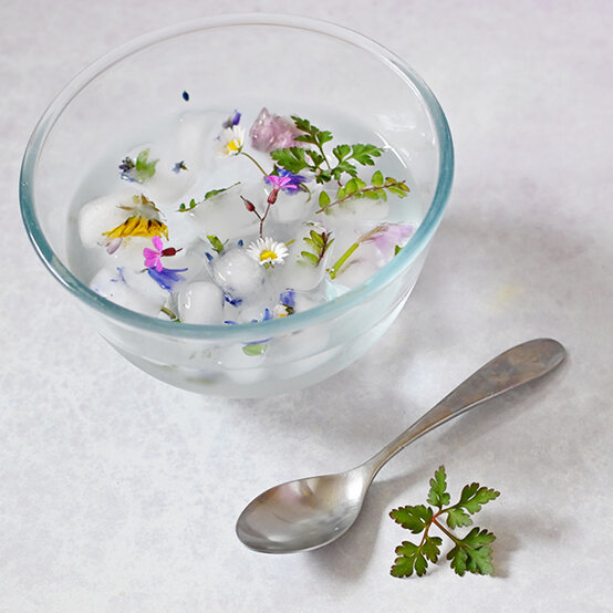 flower-ice-cubes_ice-play-ideas29.jpg?sw=554&q=85
