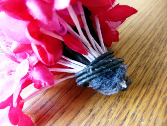 base-of-feathers.jpg?sw=554&q=85