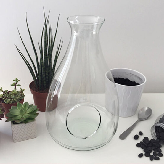 Terrarium1.jpg?sw=554&q=85