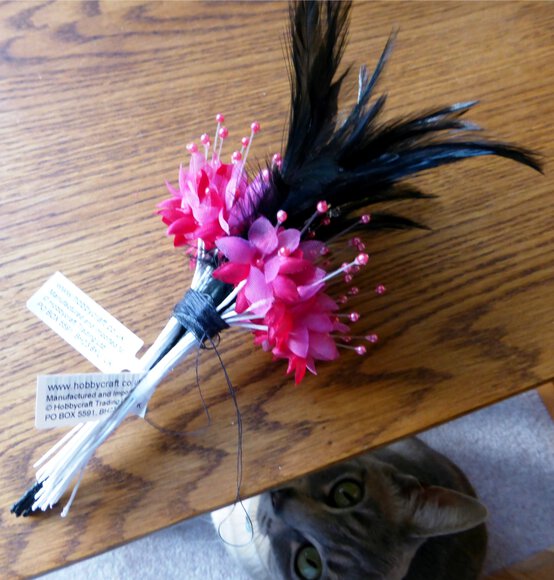 feathers-tie-up.jpg?sw=554&q=85