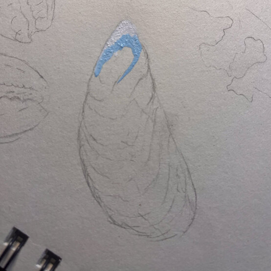 idea%5Fhow%2Dto%2Dillustrate%2Dwith%2Dpaint%2Dmarkers%2Dmussel%5Fstep2.jpg?sw=554&q=85