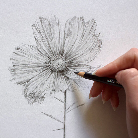 get-started-in-drawing-step6.jpg?sw=554&q=85