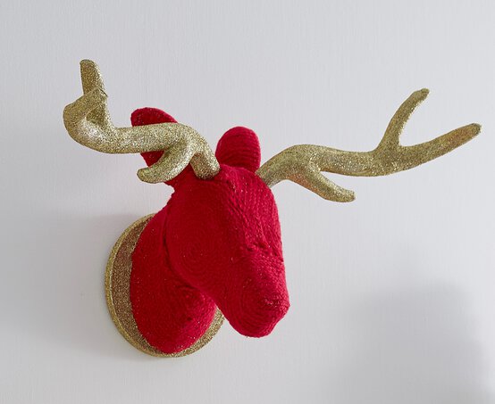 stags-head2.jpg?sw=554&q=85