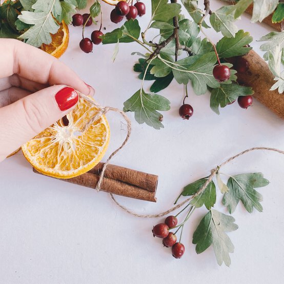 how_to_make_a_natural_festive_wall_hanging_step_3.jpg?sw=554&q=85