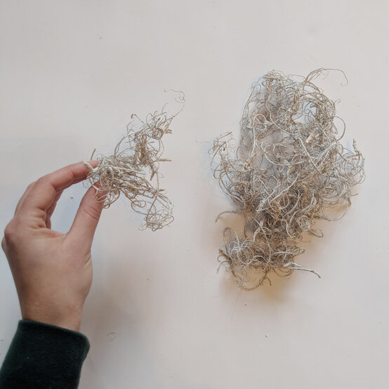 easter_floral_succulent_wreath_1.jpg?sw=554&q=85