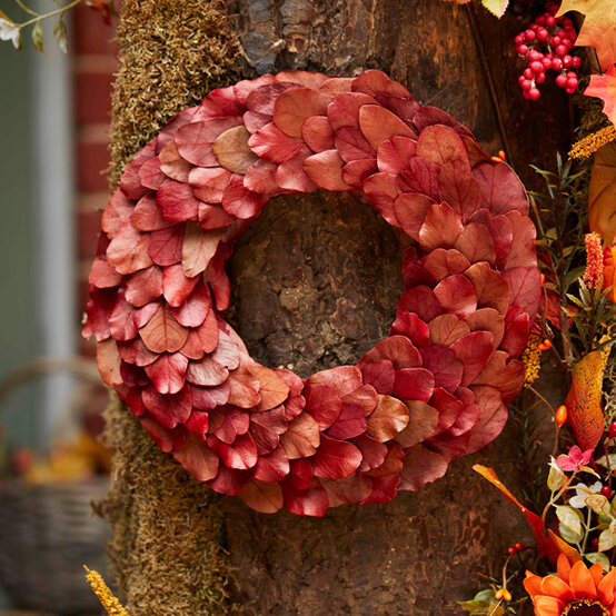 idea_how-to-make-an-autumnal-leaf-wreath_step.jpg?sw=554&q=85