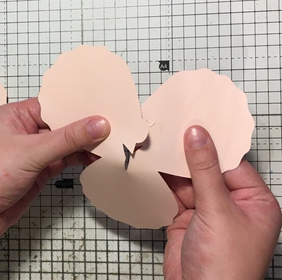 paperpeony_step13-e1551451843537.jpg?sw=554&q=85