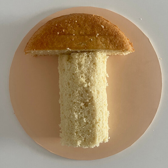 idea_how-to-decorate-a-rocket-cake_step4a.jpg?sw=554&q=85