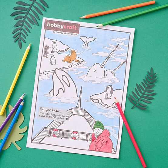 arctic-colouring-sheet.jpg?sw=554&q=85