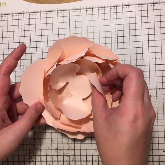 paperpeony_step18.1-e1551451991786.jpg?sw=554&q=85