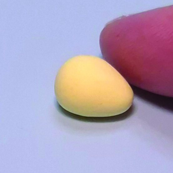 clay%2Ddaffodil%2Dsmall%5Fstep%2D1b.jpg?sw=554&q=85