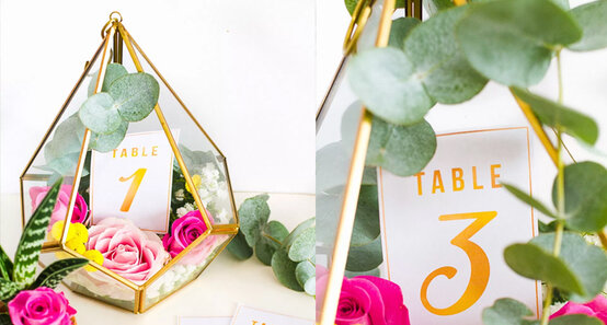 terrarium-jazzy.jpg?sw=554&q=85