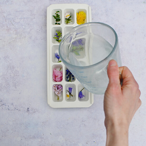 flower-ice-cubes_ice-play-ideas28.jpg?sw=554&q=85
