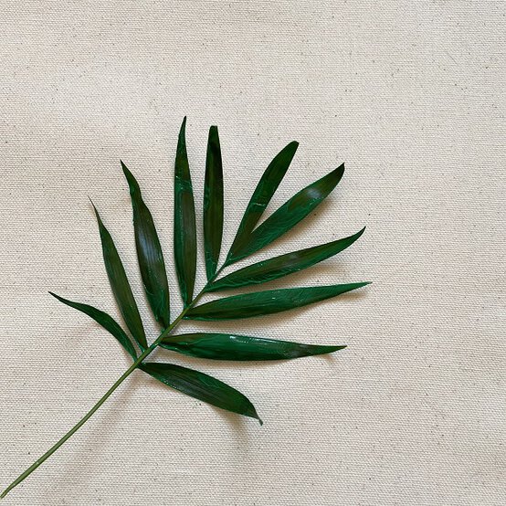 how_to_print_with_plants_step4.jpg?sw=554&q=85