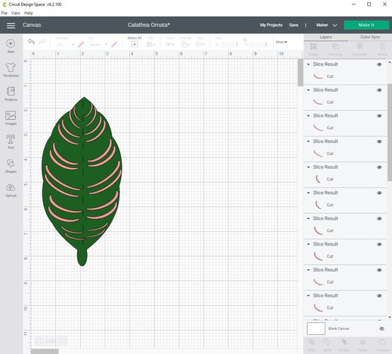cricut_how_to_make_a_paper_calathea_ornata_plant_step8_5.jpg?sw=554&q=85