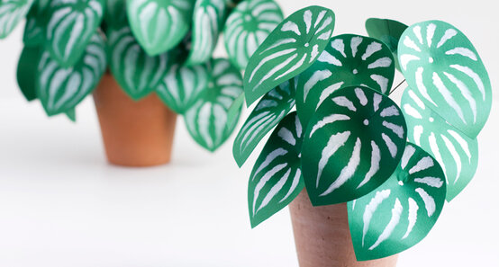 paper-plant.jpg?sw=554&q=85