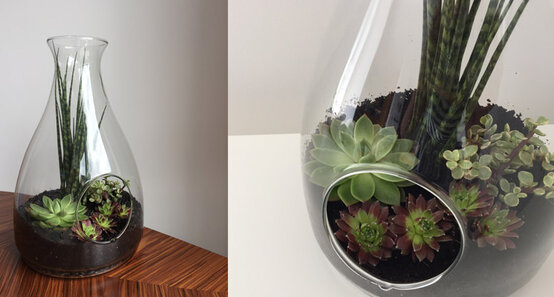 cover1.jpg?sw=554&q=85