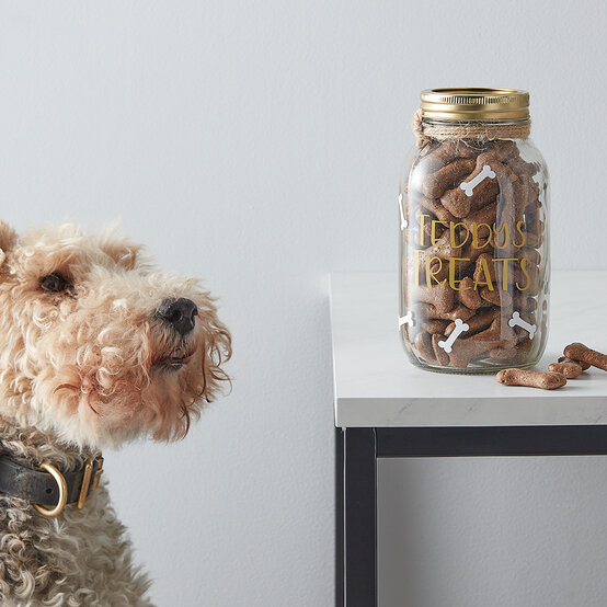 dog-treat-jar_sq.jpg?sw=554&q=85