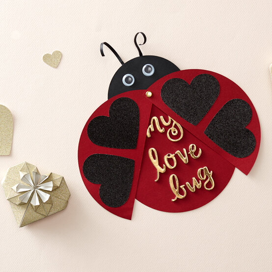 ladybird-square.jpg?sw=554&q=85