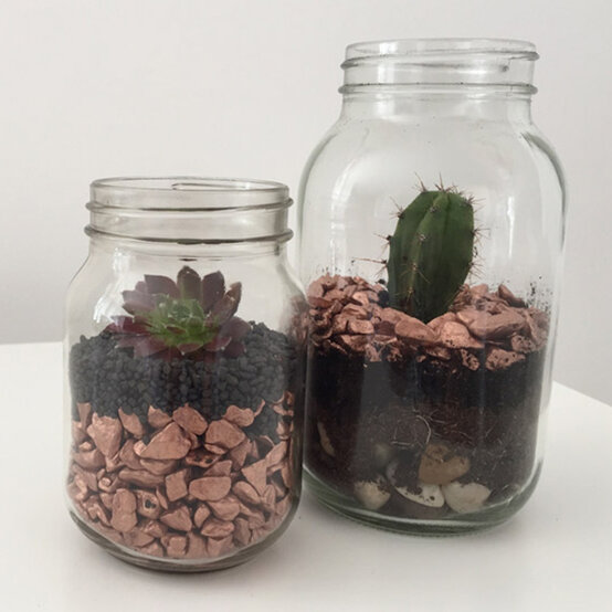 Terrarium5b.jpg?sw=554&q=85