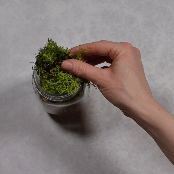 how_to_make_a_dinosaur_jar_craft_activities_step2a.jpg?sw=554&q=85