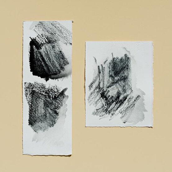 charcoal-pencil-techniques-rob-dutton-charcoal-pencil-techniques-with-water.jpg?sw=554&q=85