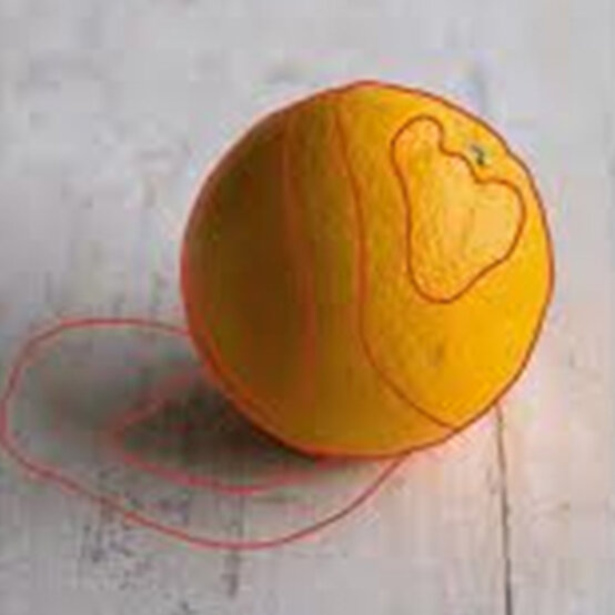 orange-on-table-3.jpg?sw=554&q=85