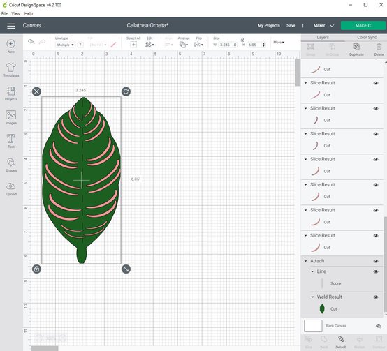 cricut_how_to_make_a_paper_calathea_ornata_plant_step9.jpg?sw=554&q=85