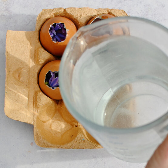 botanical-eggs_ice-play-ideas8.jpg?sw=554&q=85