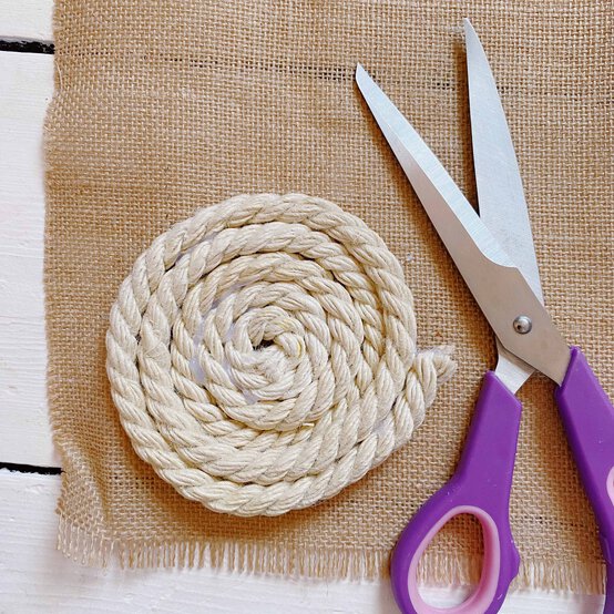 rope-coaster-3.jpg?sw=554&q=85