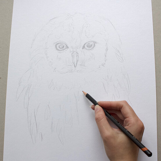 how_to_paint_acrylic_owl_drawing_1-1000-pixels.jpg?sw=554&q=85