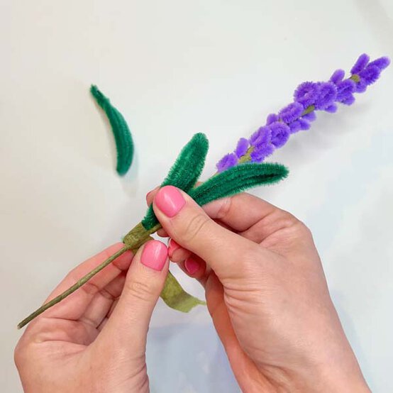 ideas%5Fhow%2Dto%2Dmake%2Dpipe%2Dcleaner%2Dand%2Dfelt%2Dflowers%5Flavender%5F8.jpg?sw=554&q=85