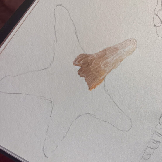 idea%5Fhow%2Dto%2Dillustrate%2Dwith%2Dpaint%2Dmarkers%2Dstarfish%5Fstep3.jpg?sw=554&q=85