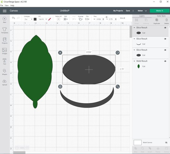 cricut_how_to_make_a_paper_calathea_ornata_plant_step6_4.jpg?sw=554&q=85