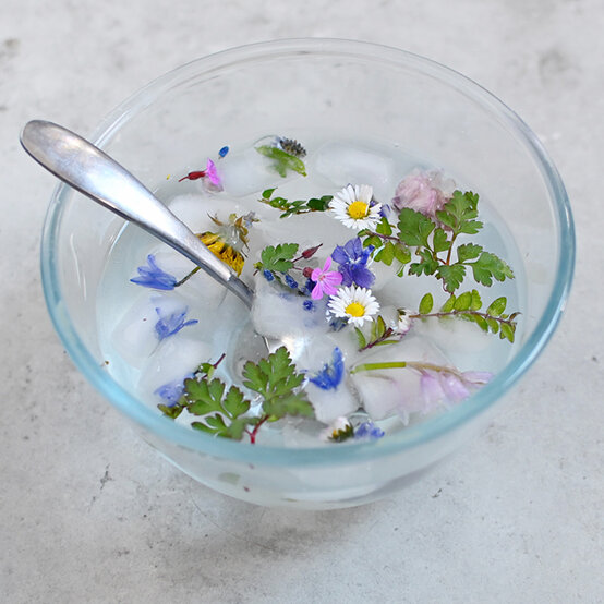 flower-ice-cubes_ice-play-ideas25.jpg?sw=554&q=85
