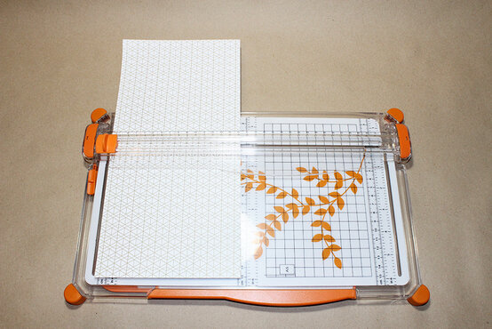 img_3178_2.jpg?sw=554&q=85