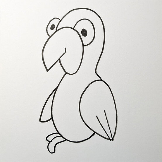 Parrot%20Drawing%5FStep5a.jpg?sw=554&q=85