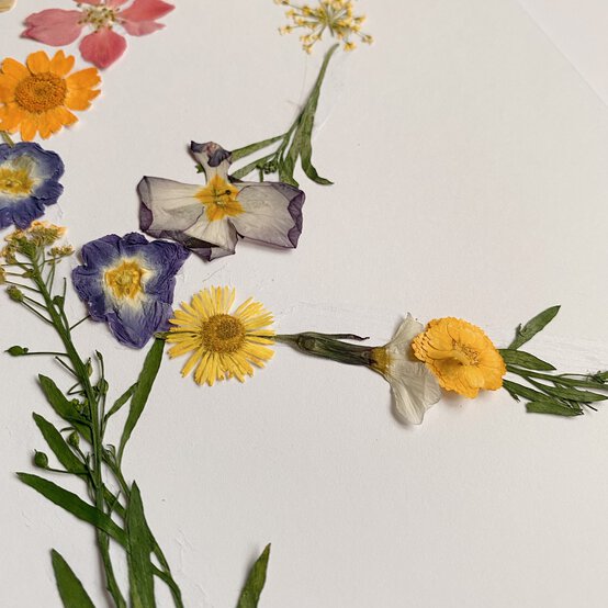 how_to_make_pressed_flower_art_6.jpg?sw=554&q=85