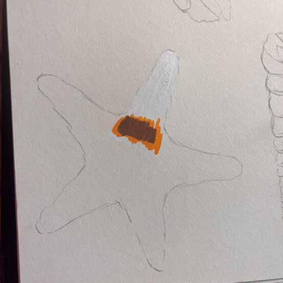 idea%5Fhow%2Dto%2Dillustrate%2Dwith%2Dpaint%2Dmarkers%2Dstarfish%5Fstep2.jpg?sw=554&q=85